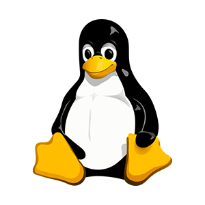 Linux Server